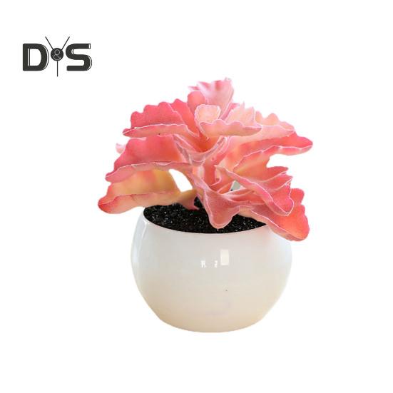 Plante succulente artificielle en plastique, Anti-décoloration, belle petite plante en pot, ornement de Table