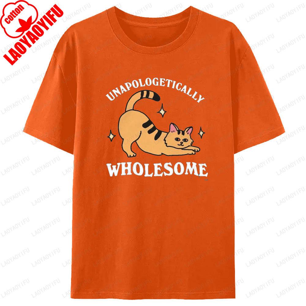 Wholesome Cat Graphic Tee Cat Meme T Shirt Unapologetically Wholesome 90s Unisex Women Shirt Cat Lover Cool TShirt Novelty Tops S