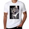 Meow you doing You Silly Human? #Cat T-Shirt tees anime clothes plain mens cotton t shirts