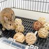 Guinea Pig Rabbit Hamster Small Animal Play Pet Roller Toys Natural Wooden Pine Dumbells Unicycle Bell Chew Chewing Braided Ball