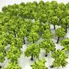 DauStage Forest for N Gauge and Architectural Available In 50 or 100 Colors Light 100 Trees, 3cm, Dioramas, Railways, Models, (14, Green, Pieces)