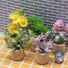 Doll Home Miniature Potted Green Plant, 1:12 Simulation for Dollhouse Garden Decor and Micro Landscaping