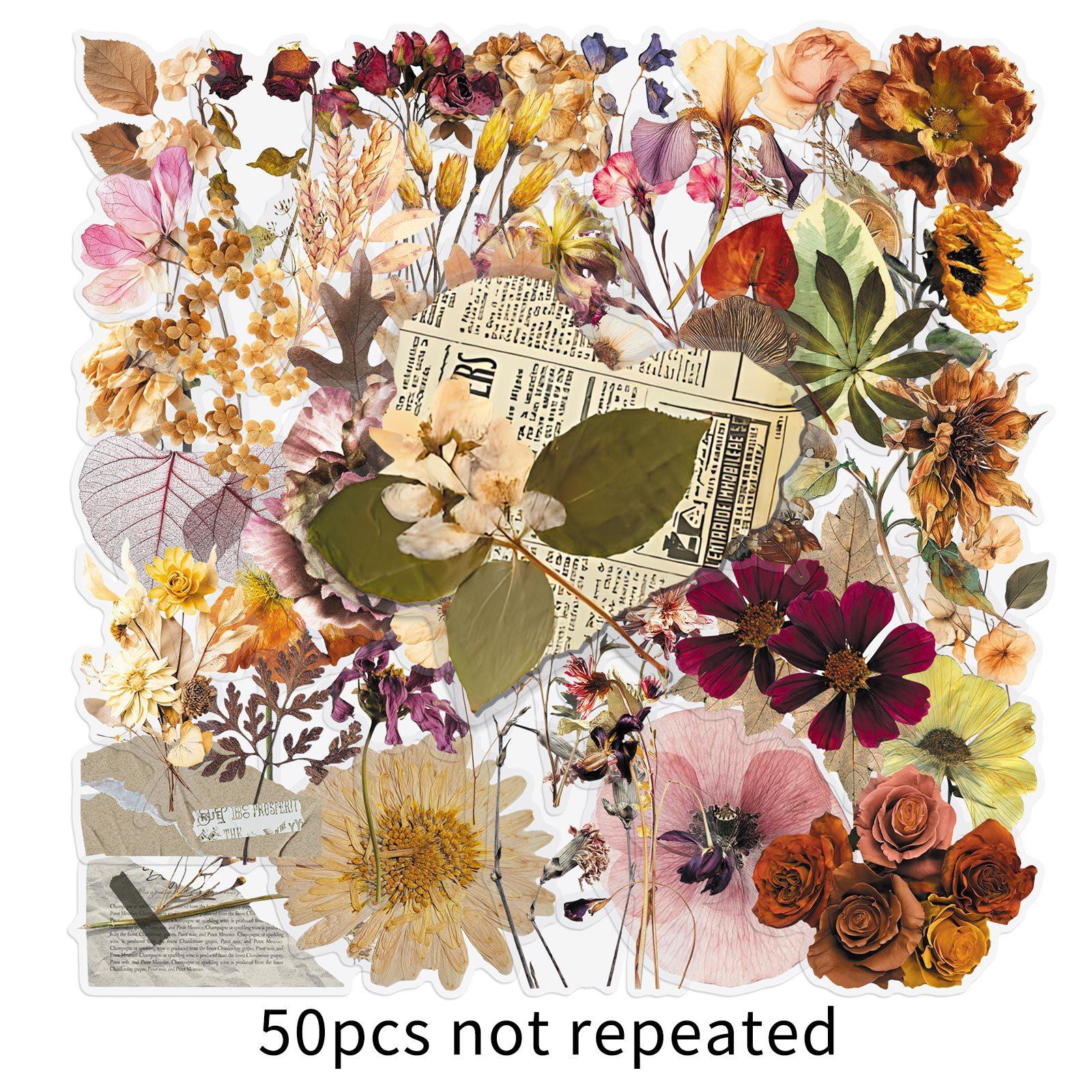 

50pcs/1 lot Dry Plant PET Transparent Stickers - Retro Flowers and Leaves Realistic INS Tea Cup Notebook Envelope Stickers