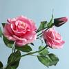 Simulation Flower Feel Moisturizing 3 Heads Orchid Heart Rose Home Decoration Shooting Prop Flower