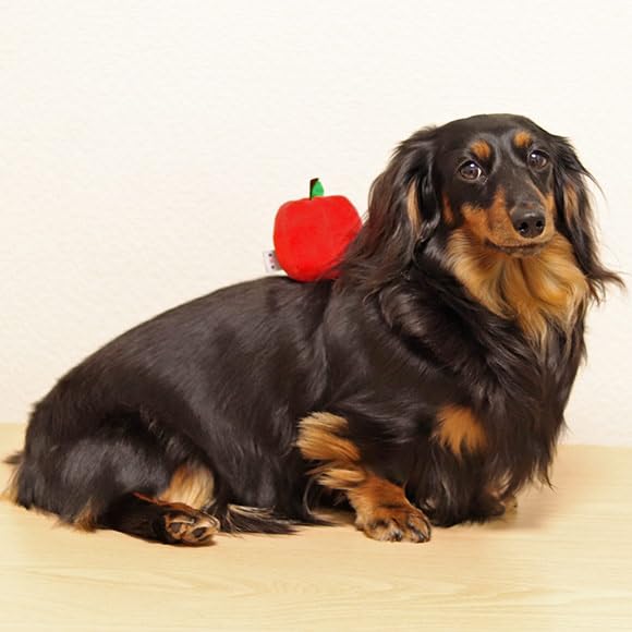 iDog Apple Ball with Bell iDog Dog Toy