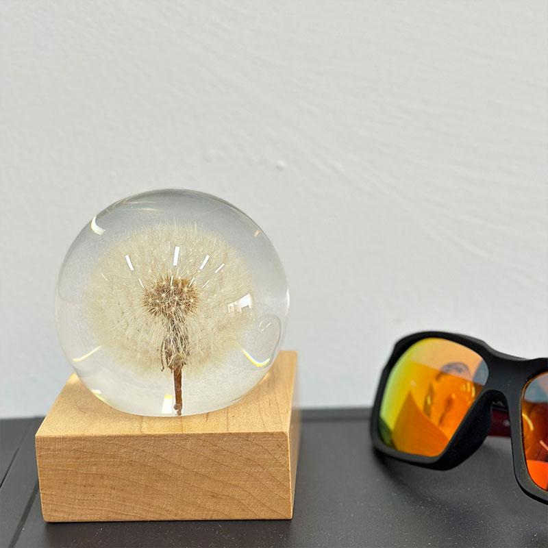 

1 шт. Смола Одуванчики Хрустальный Шар Желаний Подарок на День Рождения Искусство Одуванчиков Домашний Настольный Аксессуар Шар Мечты Домашнее Украшение 917 around 80cm&1pc