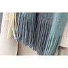 Autumn and Winter Casual Women's Imitation Cashmere Scarfs with Contrasting Colors Thick Insulation Soft Tassel Long Scarf