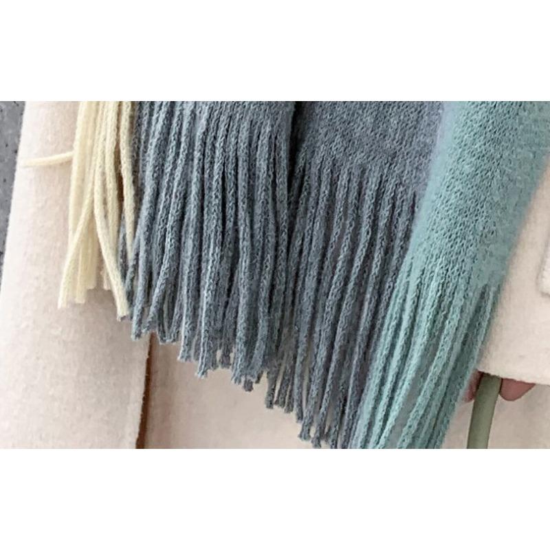 Autumn and Winter Casual Women's Imitation Cashmere Scarfs with Contrasting Colors Thick Insulation Soft Tassel Long Scarf
