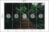 Photomural Suspension Bridge In A Forest Structural Vinyl 405x270