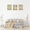 Fainne Set of 6 Plant Poster Vintage Botanical Prints 12 X 16 Inch Linen Decorative Wrap Poster Tree Art Picture Vintage Mushroom Floral Nature Decor
