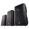 DSPPA Yamaha CBR10 Professional Stage Speaker (CN Version)