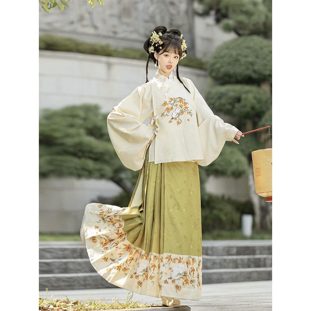 Chinesischer Ming-Dynastie-Stil Hanfu Rundhalsrobe Pipa-Ärmel Pferdegesicht-Rock Anzug für Frauen