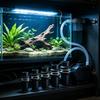 Aquarium Drain Line Connector Set for Pet Habitat Care, Screw-Lock Pipework Body with Seal Washers for Filter Line Work