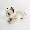 New Doll Cat Simulation Animal Doll Plush Doll Toy Gift for People Cute Doll