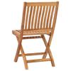 Folding Garden Chairs 2 pcs Solid Teak Wood