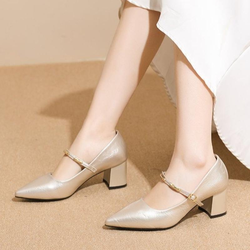 French Versatile Pointed Toe Shoes Women's Comfortable Non-Slip Chunky Heel High Heels
