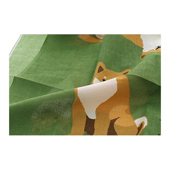 Shibata-san Wasabi Hanging Scroll Green 90x34cm CW-848-112 100% Cotton Quick Dry Absorbent Lightweight Made in Japan Souvenir Gift for Overseas
