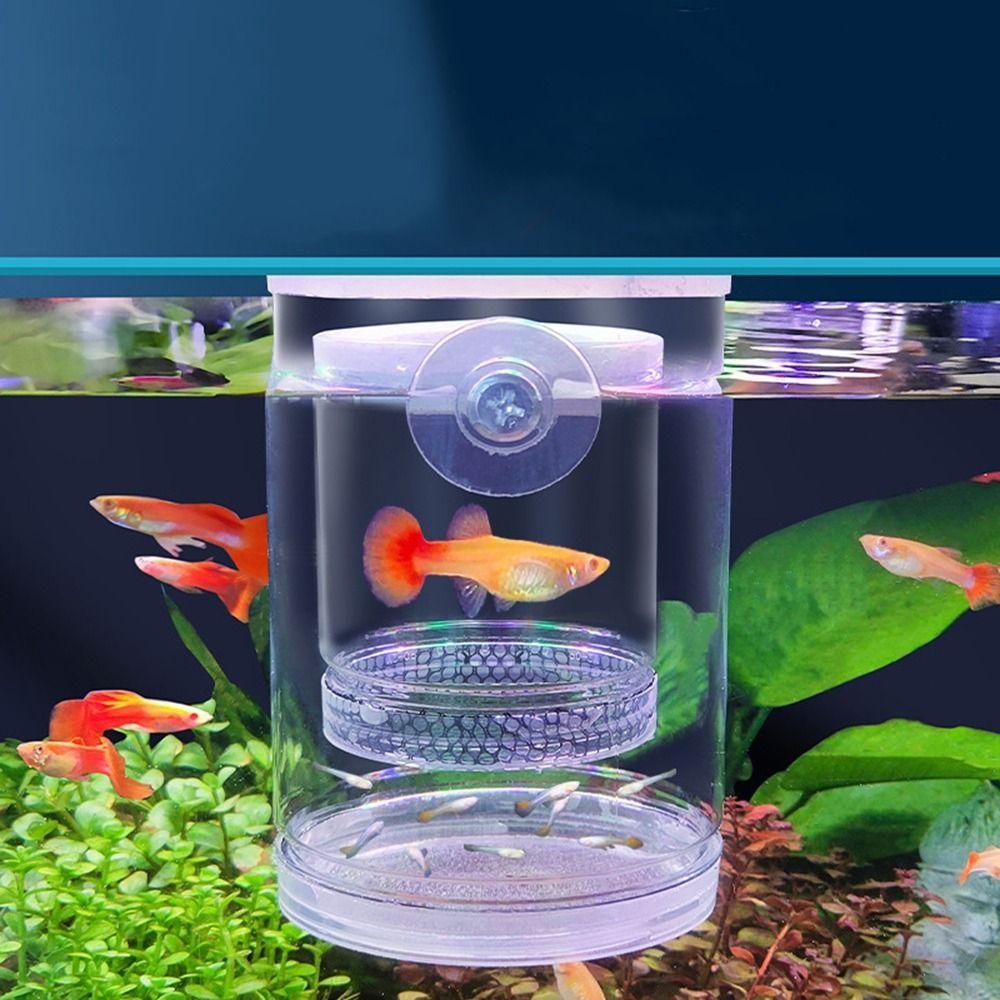 Plastic Aquarium Isolation Box Detachable Fish Tank Incubator Spawning Room
