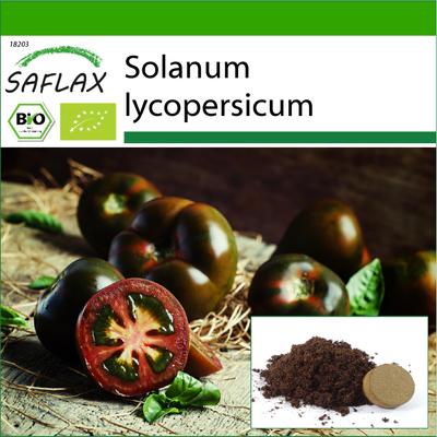 Bio - Rajče - Černá třešeň - 10 semen - Se substrátem pro lepší pěstování - Solanum lycopersicum