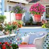 Yousheng Flower Pot Watering Tray, with Hooks Hanging Baskets, Ventilation Easy Installation Plant Tray, for Indoor Outdoor Hanging