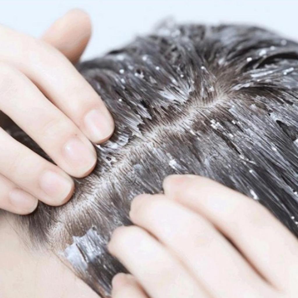 LABO-H Hair Loss Care Scalp Strengthening Shampoo & Treatment