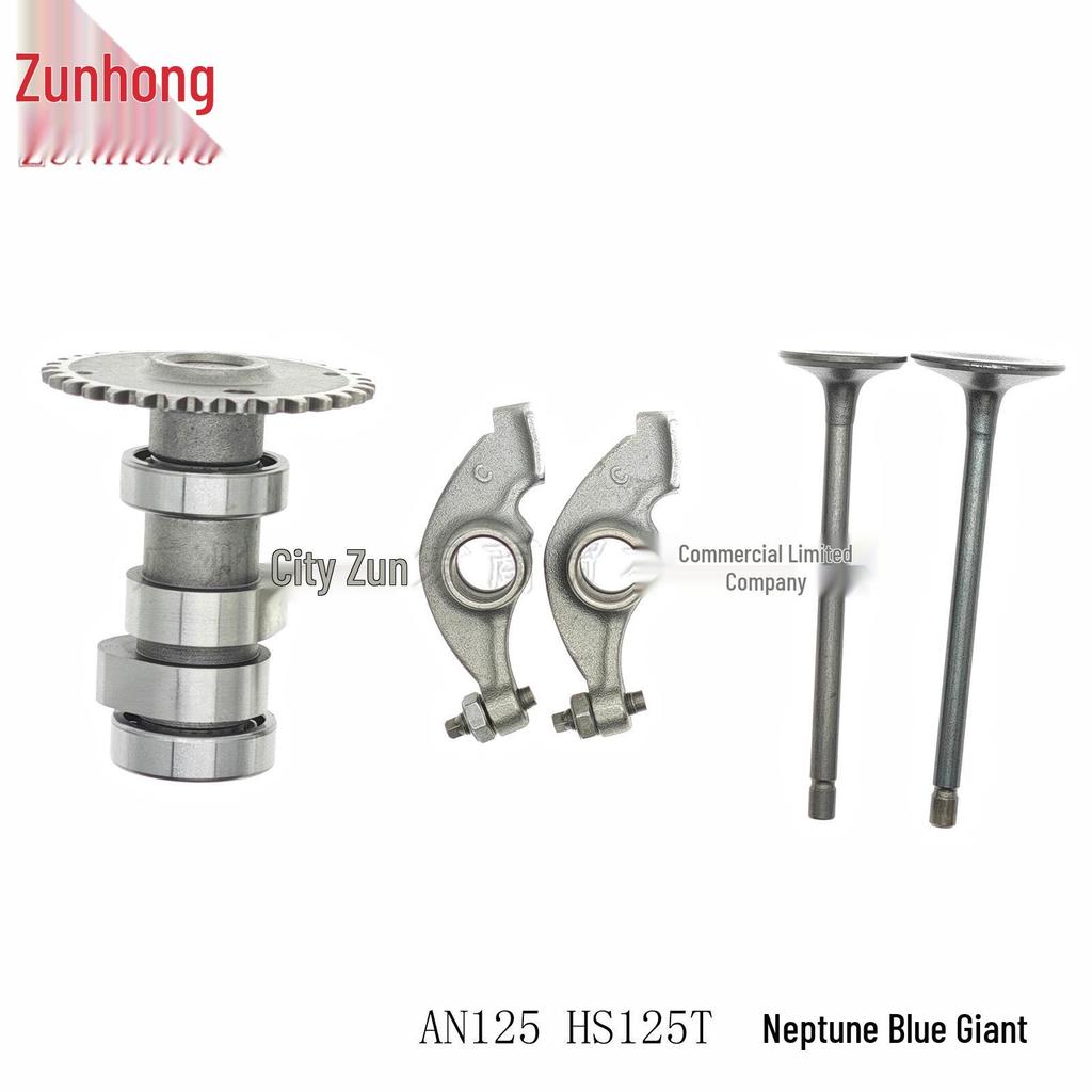 Kit Camme Bilancieri Valvole Moto AN125 HS125T Blu Nettuno