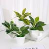 Scenery Model Home Decoration Party Supplies Artificial Plants Bonsai Lifelike Greenery Potted Faux Grass Simulation Scindapsus