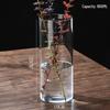 High Borosilicate Glass Hydroponic Vase - Indoor Flower Pot with Straight Tube Design for Artistic Arrangements and Moss Eco-System.