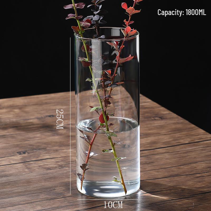 High Borosilicate Glass Hydroponic Vase - Indoor Flower Pot with Straight Tube Design for Artistic Arrangements and Moss Eco-System.