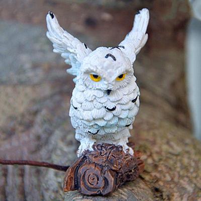 Ev Dekoru – Dekoratif Terraryumlar
