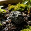 Garten- & Landschaftsgestaltung – Gartendeko