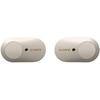 Sony Noise Canceling Earphones WF-1000XM3: Completely Silver WF-1000XM3 SM