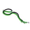 Daytona DAYTONA GA Green Dog Walking Supplies 20/200 Lead,