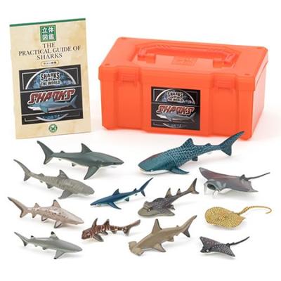 Colorata 3D Encyclopedia Sharks Figures Types with Instruction Booklet and Realistic Toy Birthday Gift Present Sanitation Law Realistic Figure Box