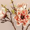Floral Art Artificial Magnolia Branch Real Touch Artificial Orchid Flowers  Outdoor Garden Decor