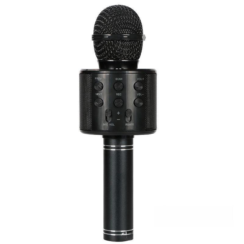 Karaoke Microphone for Kids & Adults  , Echo Effect, Built-in Speaker Portable Karaoke Player for Party Travel Gifts
