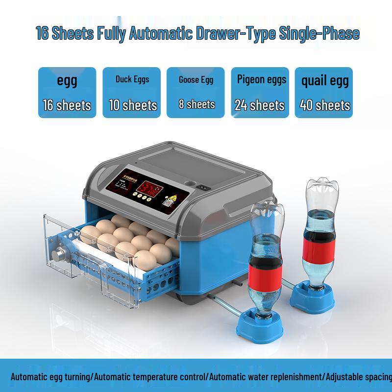 Luding Smart Automatic Egg Incubator for Small Eggs - Compact Household Model