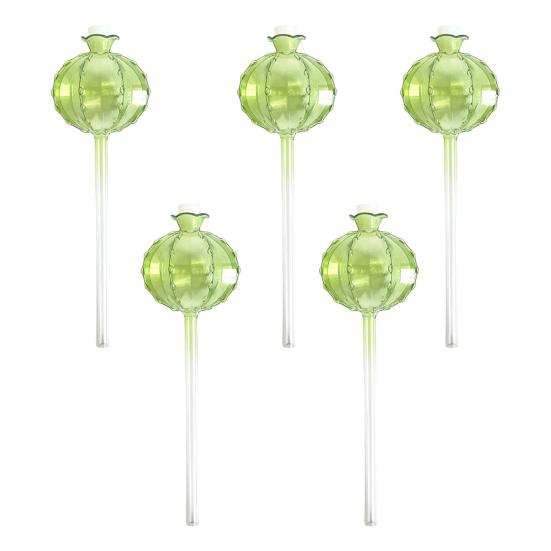 Plant Watering Bulbs Planter Insert Self Watering Globes with Stoppers Cactus Ball Shape Vacation Plant Watering Tools