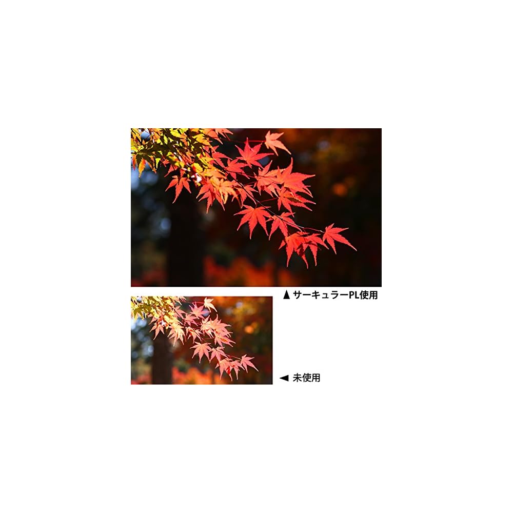KENKO PRO1D WIDE BAND Circular PL (W) 82mm Camera Filter for Contrast Enhancement and Reflection Removal (512821)