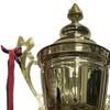 Metal Trophy Cup for Athletic Events And Celebrations