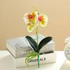 Useful Simulation Phalaenopsis Not Withered Luxury Decorate