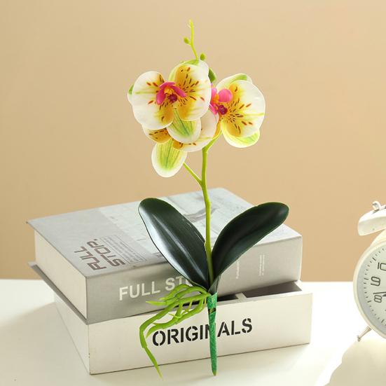 Useful Simulation Phalaenopsis Not Withered Luxury Decorate