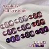 2025 Chameleon Cat Eye UV Gel Nail Polish Set for Salon Manicures