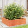 VidaXL Planter Wax Brown 80x80x23 Cm Solid Pine Wood, Outdoor Planter, Flower Box, Plant Box, 847200