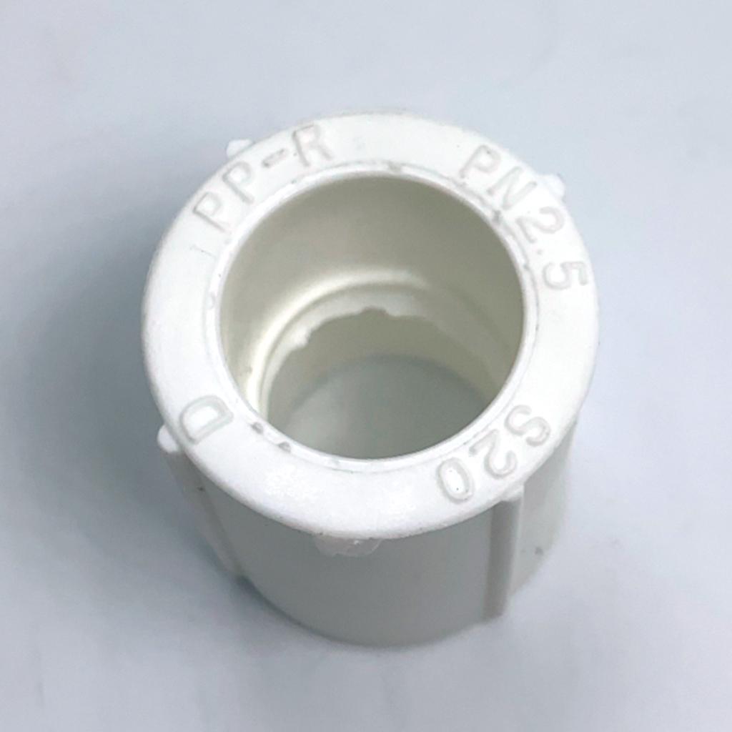 Color : White, Diameter : 25mm 3l4 inch Pipe connector 10pcs/lot PPR Female 1/2 3/4 1 Thread to 20mm 25mm 32mm Straight Connector PPR Pipe Plumbing Fittings PPR Water Pipe Adapter Color : White, Diameter : 25mm 3l4 inch Pipe connector 10pcs/lot PPR Female 1/2 3/4 1 Thread to 20mm 25mm 32mm Straight Connector PPR Pipe Plumbing Fittings PPR Water Pipe Adapter