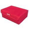 18-Grid Fabric Underwear Organizer Box