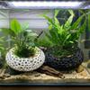 Hollow Round Aquarium Fish Shelter 3D Printed Shrimp Shelter Cave  Fish Tank Decor