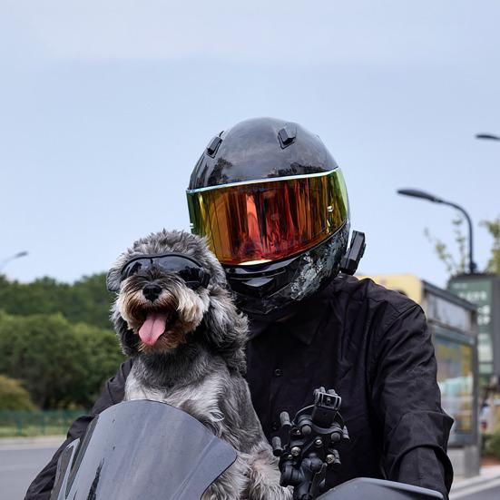 Hunde Sonnenbrille UV-Schutz Winddicht Hundeschutzbrille mit verstellbarem Riemen Outdoor für kleine, mittlere und große Hunderassen Anti-UV-Brille