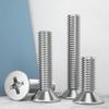 304 Stainless Steel Phillips Flat Head Machine Screw