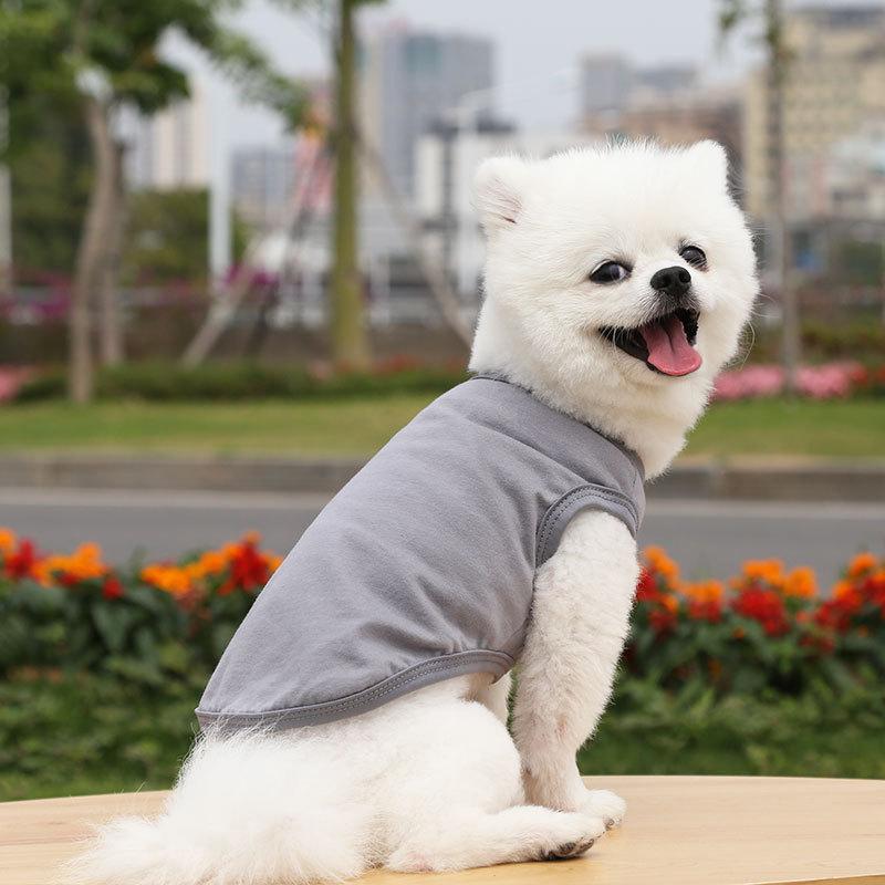 Teddy than the bear cat small medium and large dog dog spring and summer new pet clothes vest dog supplies cat bipod
